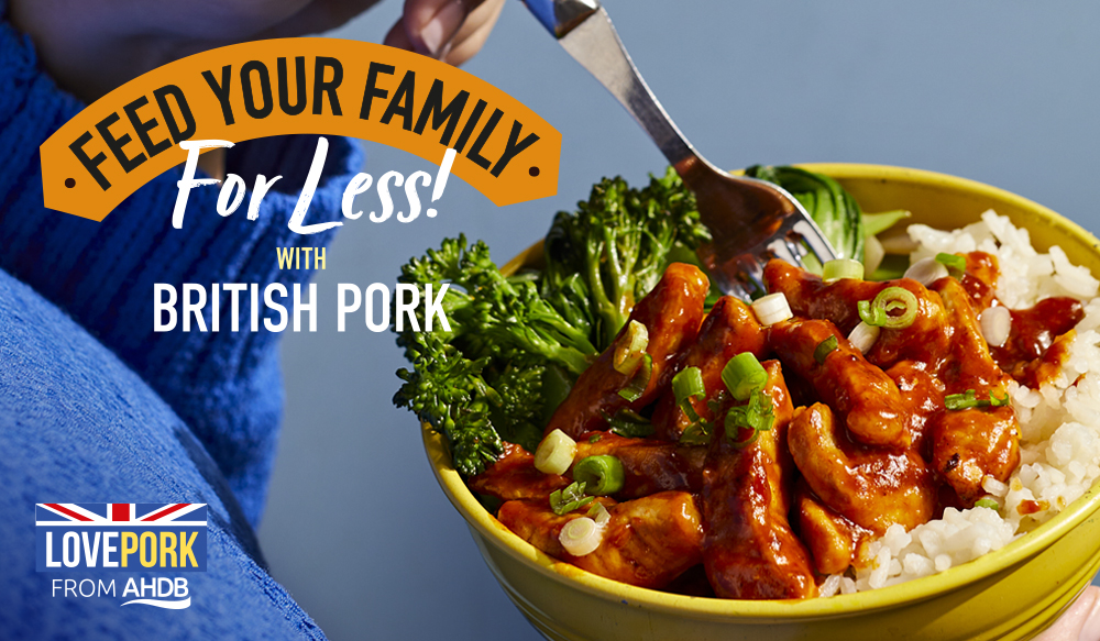 The Feed Your Family For Less logo and pork dish